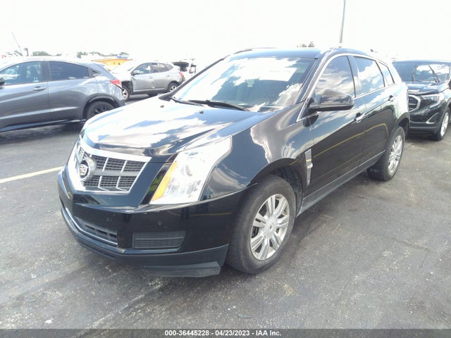 2011 CADILLAC SRX LUXURY COLLECTION VIN: 3GYFNDEYXBS529950