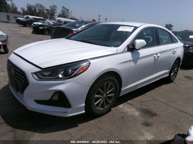Hyundai SONATA SE 2019 5NPE24AFXKH746990 Image 2