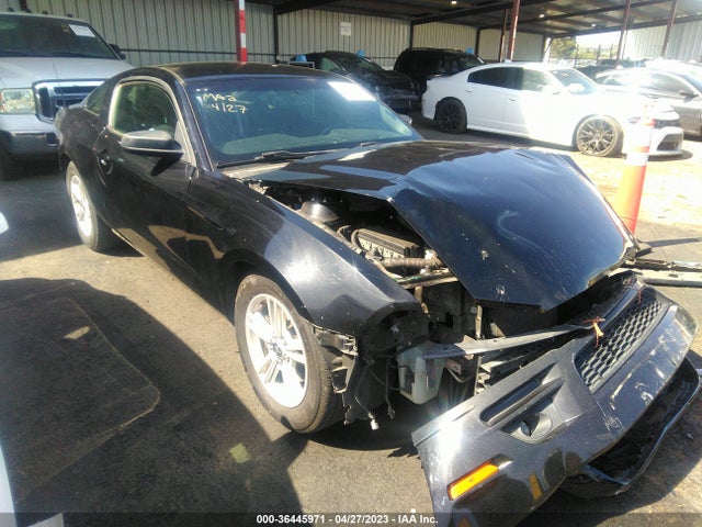 2014 1ZVBP8AMXE5293465 main image