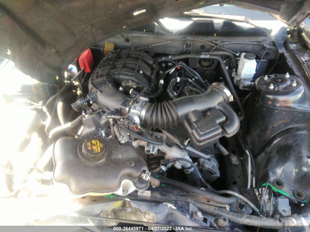 Ford Mustang V6 2014 1ZVBP8AMXE5293465 Image 12
