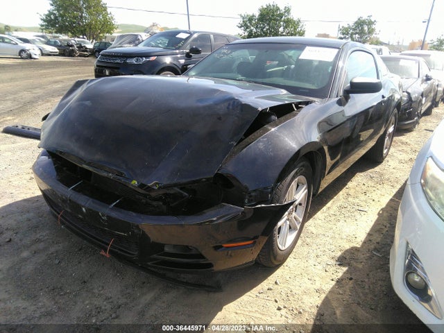 Ford Mustang V6 2014 1ZVBP8AMXE5293465 Image 2