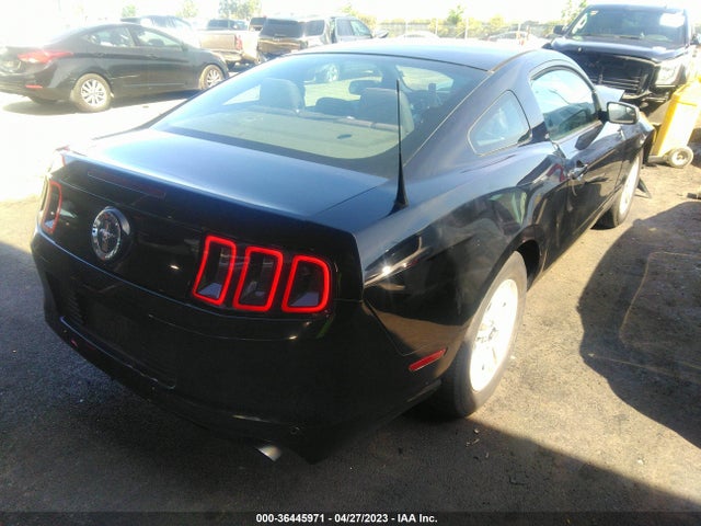 Ford Mustang V6 2014 1ZVBP8AMXE5293465 Image 6