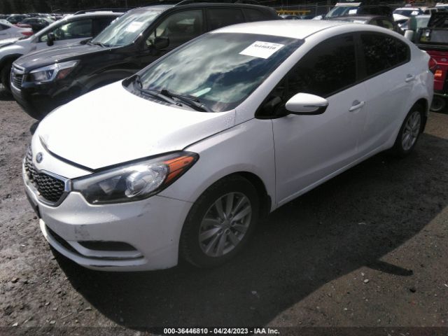 KNAFX4A69F5256789 KIA FORTE LX