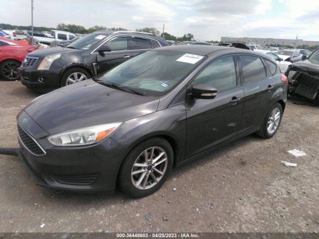1FADP3K23FL288638 Ford FOCUS SE