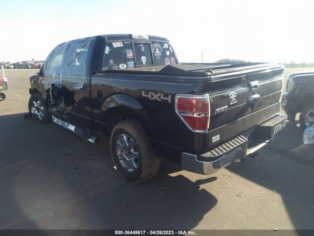 2013 FORD F-150 XL/XLT/FX4/LARIAT VIN: 1FTFW1ET2DFD79071
