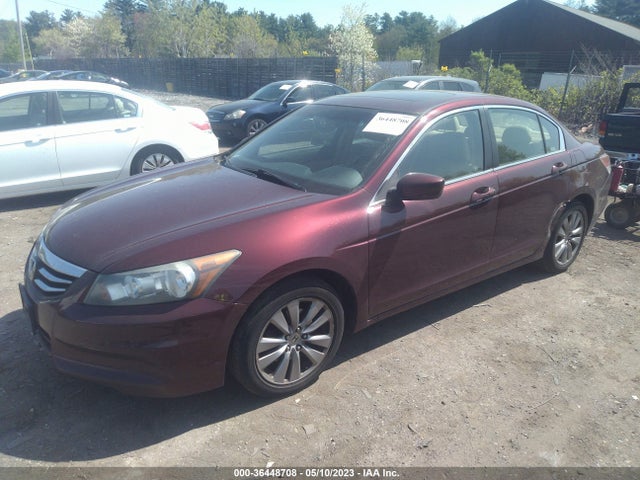 Продажа на аукционе авто 2011 Honda Accord Sdn Ex-l, vin: 1HGCP2F87BA131605, номер лота: 36448708