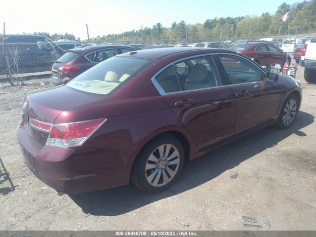 Продажа на аукционе авто 2011 Honda Accord Sdn Ex-l, vin: 1HGCP2F87BA131605, номер лота: 36448708