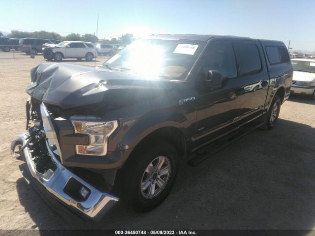 1FTEW1EPXGFB12408 Ford F-150 Xlt/xl/lariat