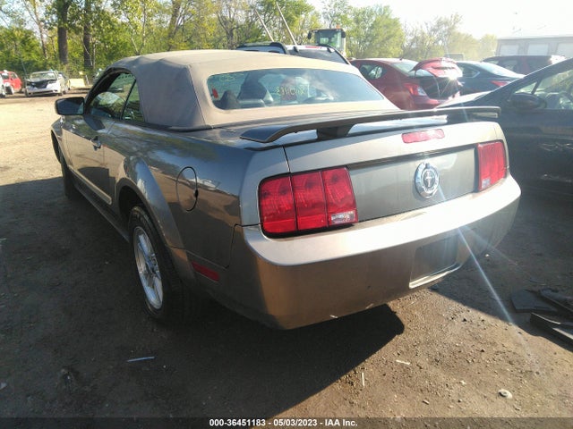 2005 FORD MUSTANG DELUXE/PREMIUM VIN: 1ZVFT84N855242953