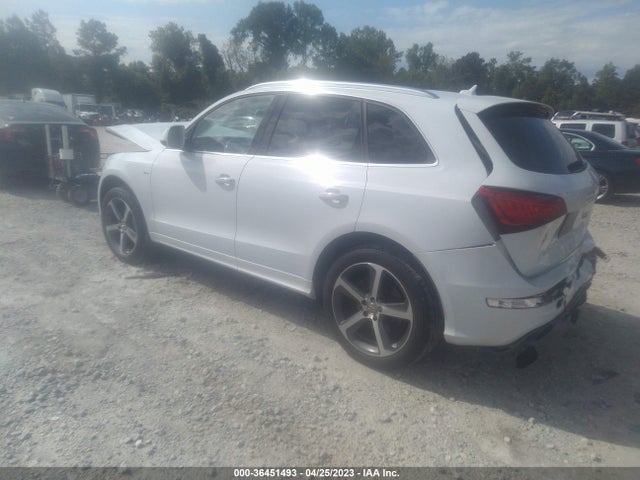 Audi Q5 Premium Plus 2016 WA1D7AFP5GA087125 Image 3