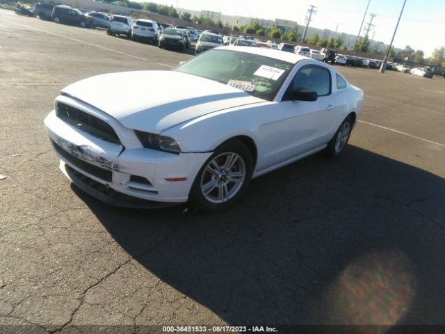 1ZVBP8AM1E5306944 Ford Mustang V6