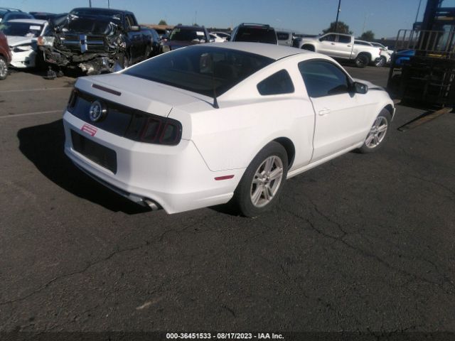 1ZVBP8AM1E5306944 Ford Mustang V6