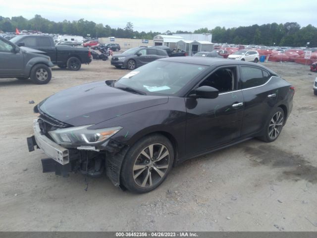 1N4AA6APXGC426633 Nissan Maxima 3.5 S