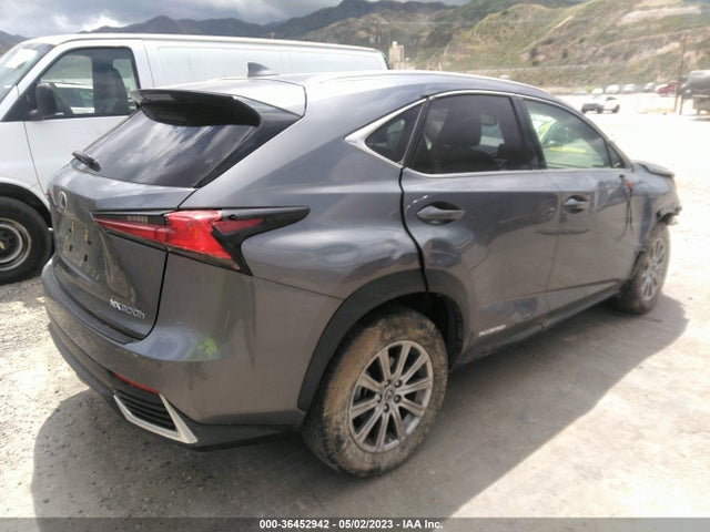 2020 Lexus NX, VIN: JTJAJRDZ1L2126422
