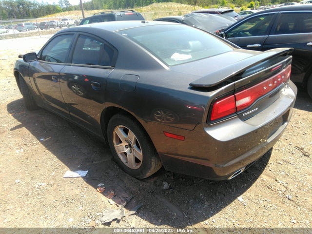 Dodge Charger Road/track 2014 2C3CDXCTXEH337525 Image 3