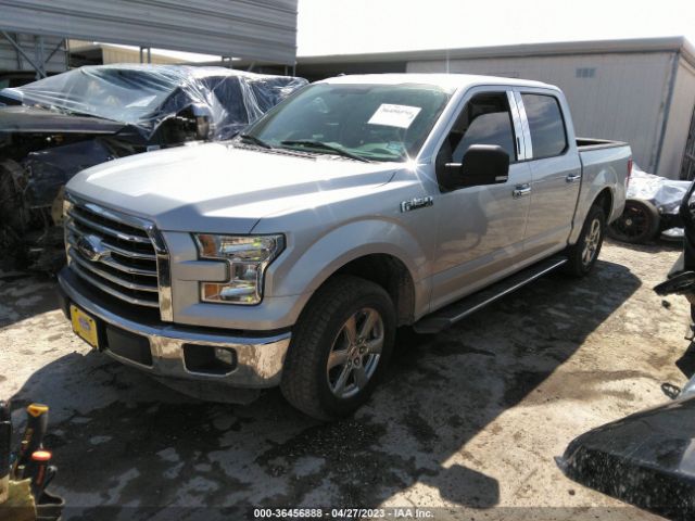 1FTEW1C89FKF02434 Ford F-150 Xlt/xl