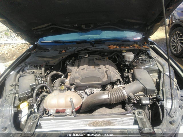 Ford Mustang Ecoboost 2019 1FA6P8TH7K5182880 Image 12