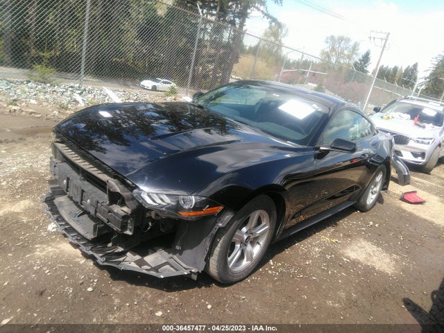 Ford Mustang Ecoboost 2019 1FA6P8TH7K5182880 Image 2