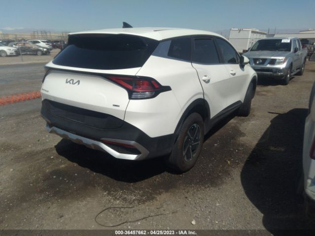 KNDPUCAG6P7016964 KIA Sportage Hybrid Lx