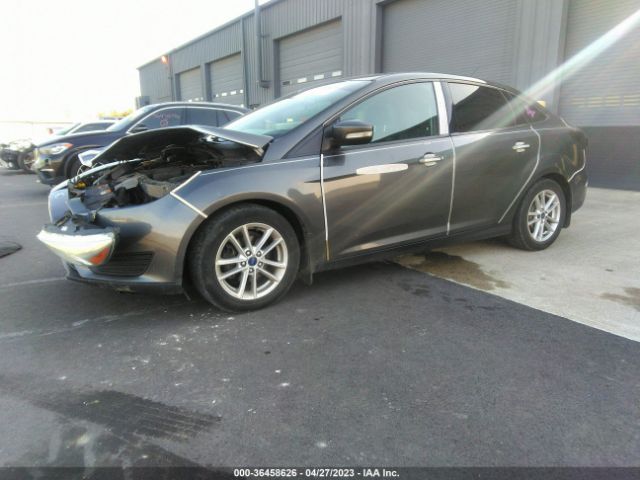 1FADP3F20GL329657 Ford FOCUS SE