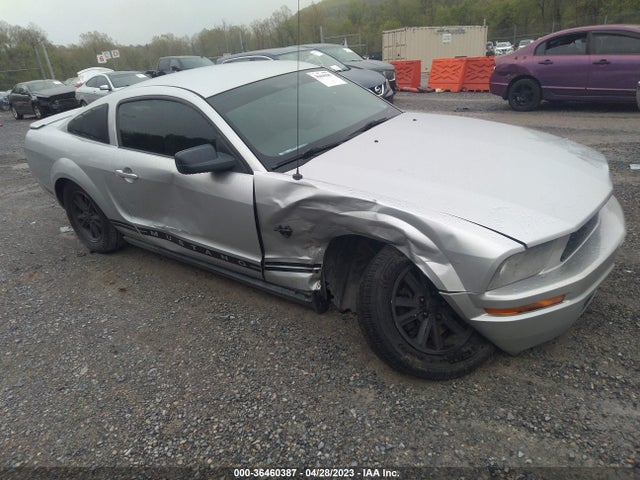 2009 FORD MUSTANG VIN: 1ZVHT80NX95100334