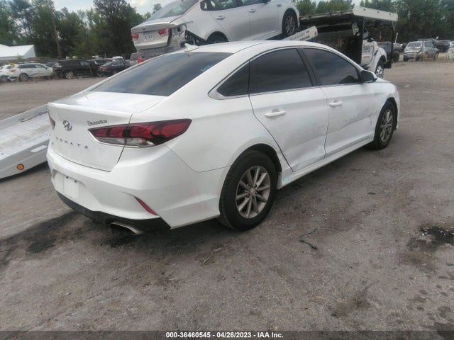 Hyundai SONATA SE 2019 5NPE24AF5KH787897 Image 5