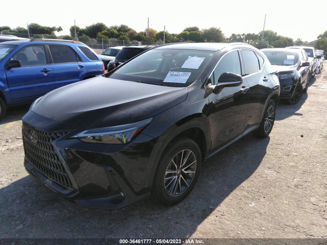 2022 Lexus NX, VIN: 2T2GDCAZ7NC002659