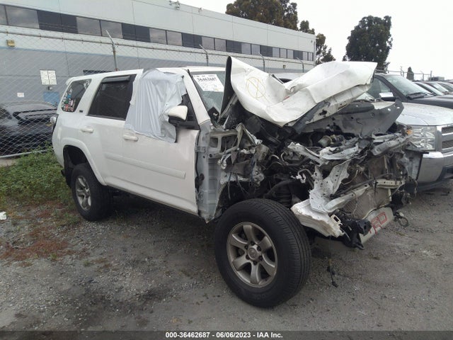 2019 JTEBU5JR2K5664163 main image