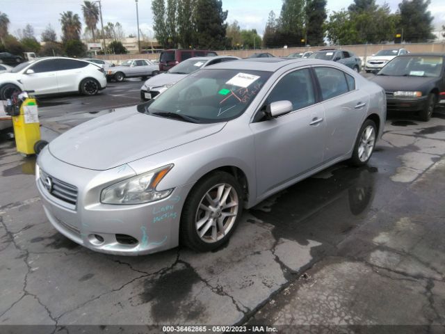 1N4AA5APXEC494065 Nissan MAXIMA 3.5