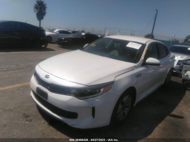 KNAGT4LE9H5012342 KIA Optima Hybrid Base