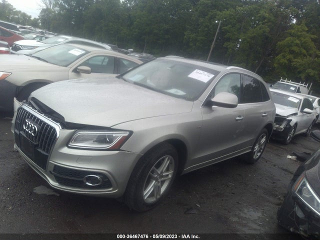 WA1D7AFP3HA044954 Audi Q5 Premium Plus