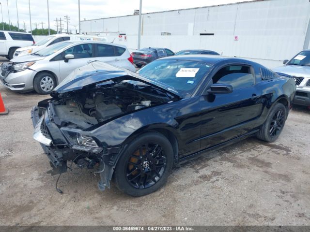 1ZVBP8AM2E5226388 Ford Mustang V6