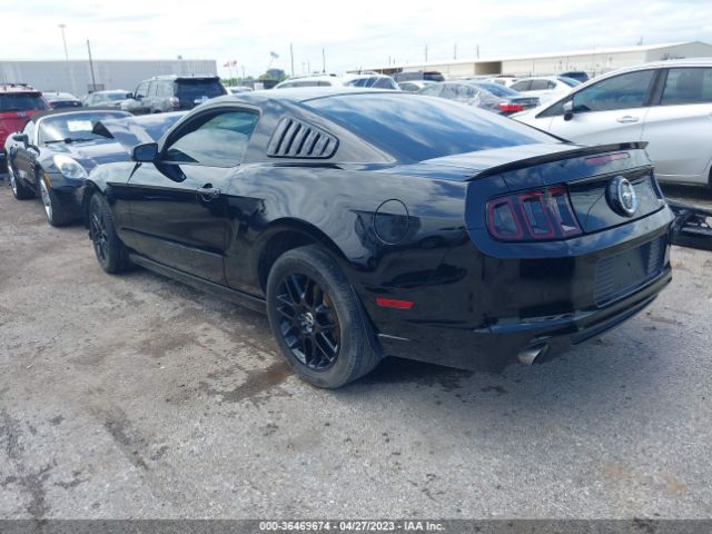 1ZVBP8AM2E5226388 Ford Mustang V6