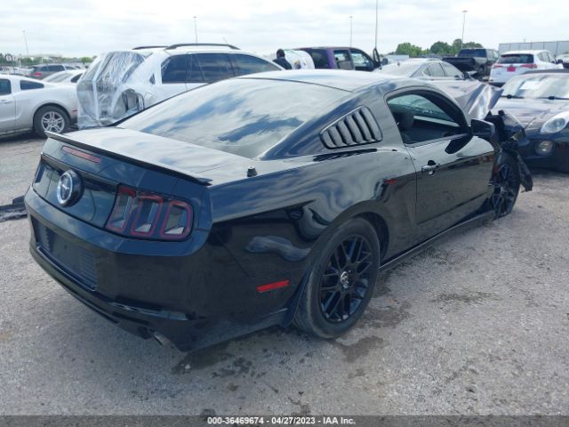 1ZVBP8AM2E5226388 Ford Mustang V6