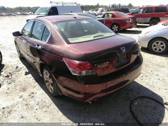 2008 HONDA ACCORD SDN EX-L VIN: 1HGCP36828A065317