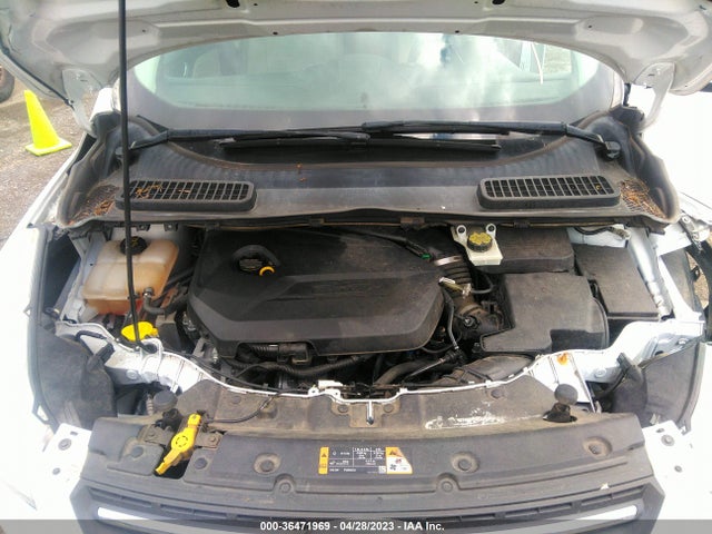 Ford ESCAPE SE 2014 1FMCU0GX4EUD38503 Image 11