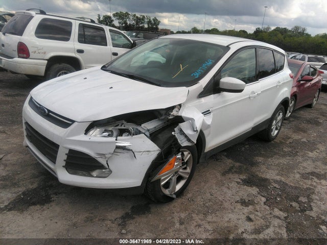 Ford ESCAPE SE 2014 1FMCU0GX4EUD38503 Image 2