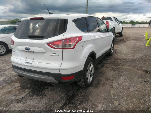 Ford ESCAPE SE 2014 1FMCU0GX4EUD38503 Image 5