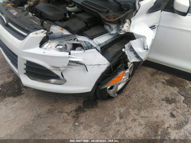 Ford ESCAPE SE 2014 1FMCU0GX4EUD38503 Image 7