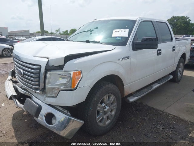 2012 FORD F-150 XL/XLT/FX2/LARIAT VIN: 1FTFW1CF2CKE19295