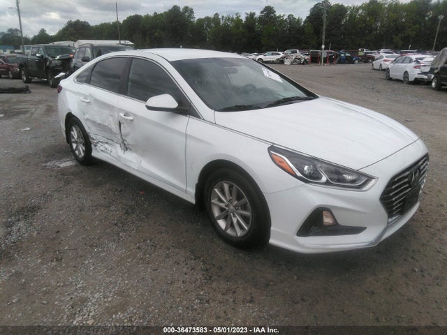 2019 5NPE24AF2KH806311 main image
