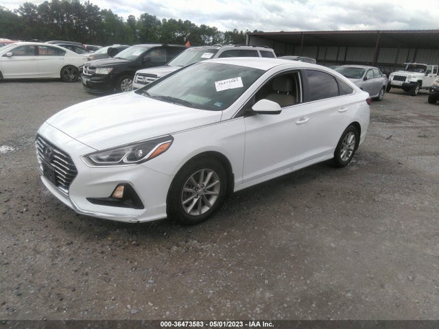 Hyundai SONATA SE 2019 5NPE24AF2KH806311 Image 2