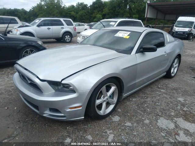 Ford Mustang V6 2014 1ZVBP8AM4E5303827 Image 2