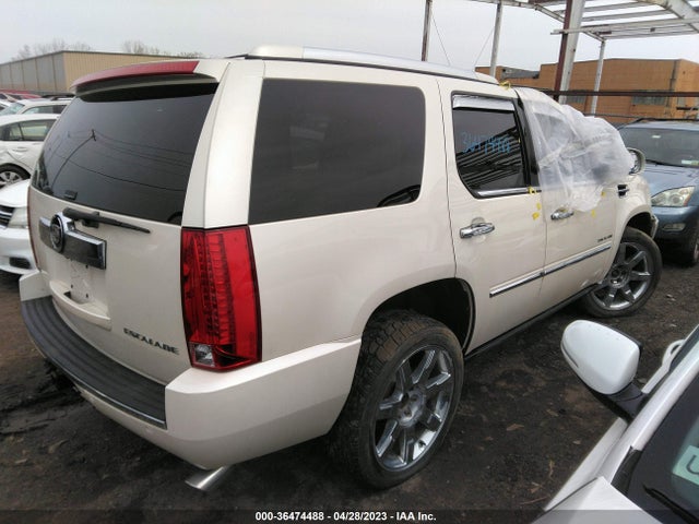2010 CADILLAC ESCALADE PREMIUM VIN: 1GYUKCEF6AR158697