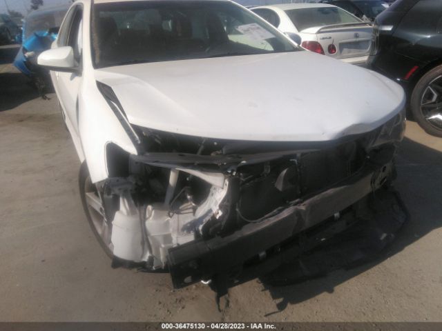 4T1BF1FKXEU776007 Toyota Camry L/le/xle/se/se Sport