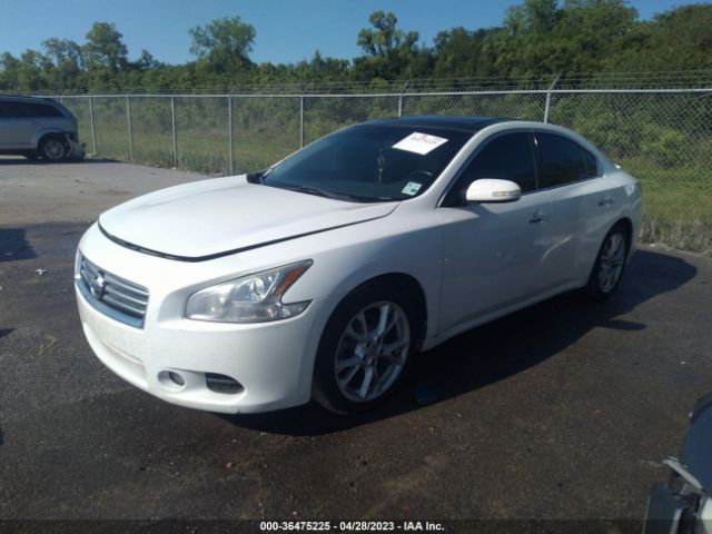 1N4AA5APXEC456187 Nissan MAXIMA 3.5