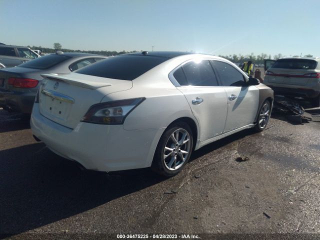 1N4AA5APXEC456187 Nissan MAXIMA 3.5