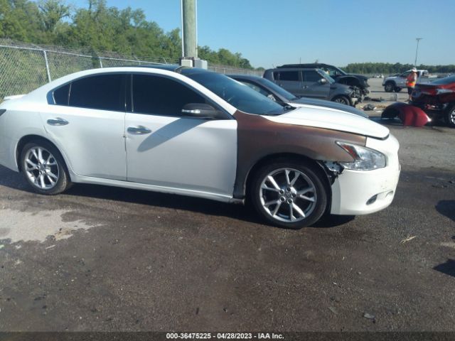 1N4AA5APXEC456187 Nissan MAXIMA 3.5