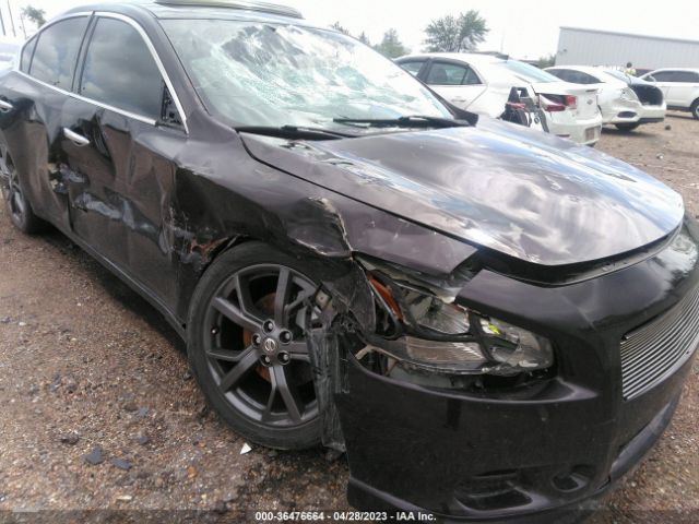 1N4AA5AP8EC442868 Nissan Maxima 3.5 Sv W/sport Pkg