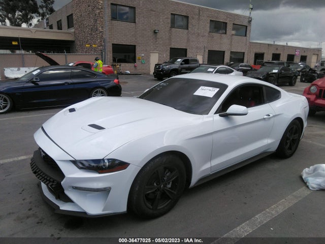 Ford Mustang Ecoboost 2020 1FA6P8TH4L5177220 Image 2